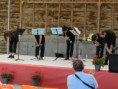 /album/15-07-2023-photos-de-jean-philippe-bontoux/2023-07-13-22-jpg1/